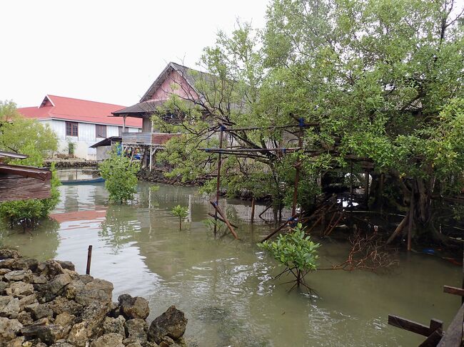 水路も満潮のせいか、水が溜まっています。