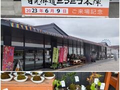 『道の駅 日光　日光街道ニコニコ本陣』に立ち寄り。ここの苔玉に惹かれる～。2021年に買った苔玉のサボテンはまだ元気。