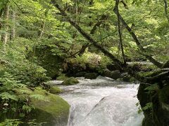 有名な阿修羅の流れ。先ほどの雨で濁ってしまってはいるけど、きれい。気候も良く、子供たちもよく歩き、楽しい散策だった。