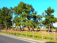 駐車場からすぐ大通りに出て右折したら、何やらそれらしき観光ポイントありましたが、スルーしました。ここが「種差海岸」だったのかな。