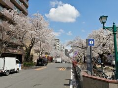 東京メトロ丸ノ内線茗荷谷駅から後楽園方向に春日通りを数百メーター進むと播磨坂にぶつかります。