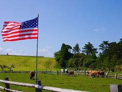 風になびく星条旗ってアメリカの牧場みたいで楽しいわ～

カントリーミュージックが流れ、テンガロンハットを被った牧場の方
