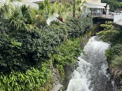 ホテルから坂を登ること約10分、熱川バナナワニ園に到着です。
熱帯ジャングル感がすごいのですが、周りは川も含めて熱源だらけなので、ここに熱帯動物園＆植物園をつくったのは納得！