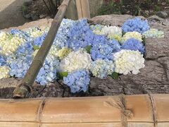 180段の先には花手水。

紫陽花だ！
