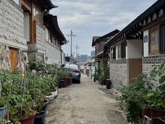 最後に観光してみてみようと思い北村韓屋村に歩いて行ってみました！