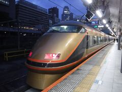 成田エクスプレスで、新宿駅まで戻り。
久しく行っていない、日光に行こうかな。