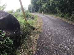 十曲峠(じっきょくとうげ)が始まります。