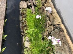 山門前の用水路
