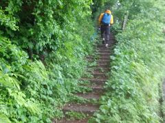 大山夏山登山道