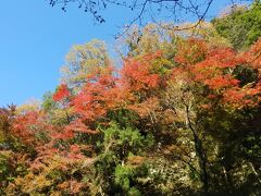 粟又の滝から滝めぐり遊歩道に行ってみます。紅葉がきれいです。ちょうど良いタイミングで来れたかも。