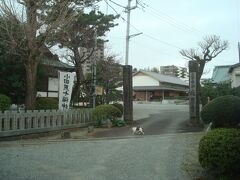 大稲荷神社を出てすぐ右手に、福泉寺。三毛猫が歩いていました。