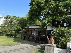 こちらで朝食をいただきます。うえはら館の敷地内にある西表の少年。