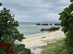 この日の朝は、保慶海岸へ。
ここには、石灰岩が削られてできた岩があります。
子牛の形に見えませんか？
