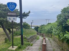 階段国道３３９号