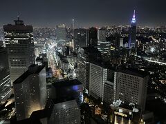 東京・西新宿『Park Hyatt Tokyo』41F【The Peak Bar】

『パーク ハイアット 東京』の【ピーク バー】からの夜景（東側）
の写真。

高層でやはり邪魔な建物がないので、『キンプトン新宿東京』よりも
眺めはよいですね。