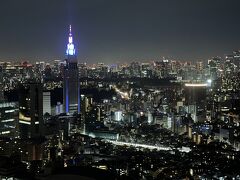 東京・西新宿『Park Hyatt Tokyo』41F【The Peak Bar】

『パーク ハイアット 東京』の【ピーク バー】からの夜景（東側）
の写真。

六本木のさらに右側へ行くとお台場方面。

『NTTドコモ代々木ビル』の右下の方に『国立競技場』が見えます。