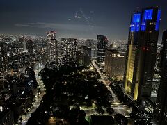東京・西新宿『Park Hyatt Tokyo』41F【The Peak Lounge】

『パーク ハイアット 東京』の【ピーク ラウンジ】からの夜景（北側）
の写真。

『ヒルトン東京』、『新宿中央公園』が見えます。

夜は暗いです。