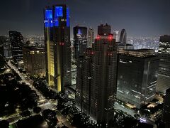 東京・西新宿『Park Hyatt Tokyo』41F【The Peak Lounge】

『パーク ハイアット 東京』の【ピーク ラウンジ】からの夜景（北側）
の写真。

ブルーに光る『東京都庁』やホテル『ハイアット リージェンシー 
東京』、『ホテル グルーヴ 新宿』とホテル『ベルスタートウキョウ』
の入る『東急歌舞伎町タワー』も見えます。