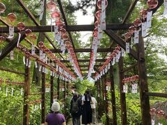 青龍山吉祥寺へ
赤い風鈴がいっぱいです。