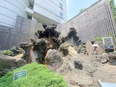 湯前神社のそばにある大湯間歇泉
待っていても温泉は出てこなかったけど。
湯前神社もこちらの前にある神社だからこの名がついたらしい。