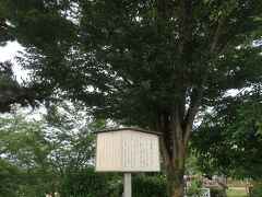 酒匂川の畔にある水辺スポーツ公園の片隅に

かつてここは十文字渡しがあったそうで