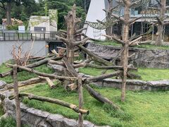 円山動物園 サル山