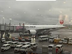 飛行機での移動