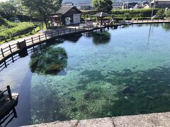 本日最後は前から気になっていた湧水町の湧水。日本の名水百選。
もちろんきれいで素敵なんですが、この脇で子供がザリガニ釣りしているのが一番素晴らしかった。令和になってもザリガニを釣り。