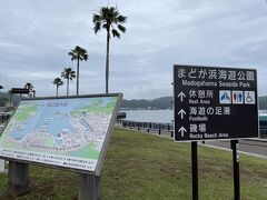 あじさいが見頃な下田公園は遠いから、まどが浜海遊公園に来てみた