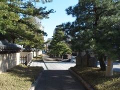 寺町の真ん中を通っている承天寺通り。承天寺の前あたりは並木なども整備されており、昔の寺町の雰囲気が感じられます。静かで良いところです。