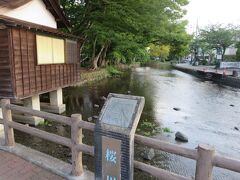 白滝公園を出て桜川沿いに歩きます。ここから三嶋大社までの道は「水辺の文学碑」通りです。三島に縁のある文学者の作品が石碑になって並びます。