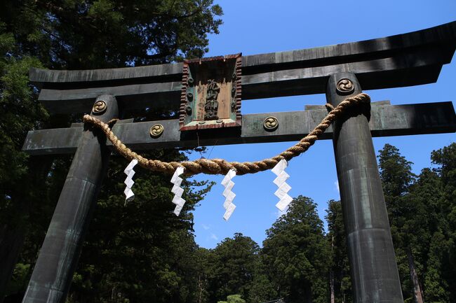 Amazon.co.jp: m321権現様二百五十廻御忌 ○○名代ニ付佐野御通