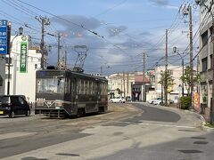 函館市電 (路面電車)