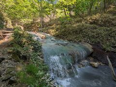 大湯沼川天然足湯