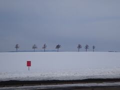 道の駅のすぐ近くに女満別の絶景スポットで知られるメルヘンの丘があります。
7本のカラマツの向こうは網走湖、雪の下はジャガイモ畑。
誰も寄せ付けない冬のメルヘンの丘です。