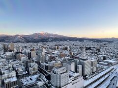 山形県産業科学館が入ってる「霞城セントラル」ビルの最上階展望ロビーにも行って見ました。

ここからは市内が一望できました。
雪景色良いですね～