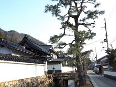 竹田寺町通り

昨日は窓口が閉まっていて押せなかった駅スタンプ押印のため一度竹田駅に立ち寄った後、情報館天空の城前の踏切を渡って線路の西側に出ます。
写真の立派な松が立つのは桑山一重の墓と供養塔がある勝賢寺の入り口付近です。


竹田寺町通り：https://www.asabura.jp/sspot/677
駅スタンプ：https://ja.wikipedia.org/wiki/%E9%A7%85%E3%82%B9%E3%82%BF%E3%83%B3%E3%83%97
情報館天空の城：https://www.takedacastle.jp/complex/info
桑山一重：https://ja.wikipedia.org/wiki/%E6%A1%91%E5%B1%B1%E4%B8%80%E9%87%8D