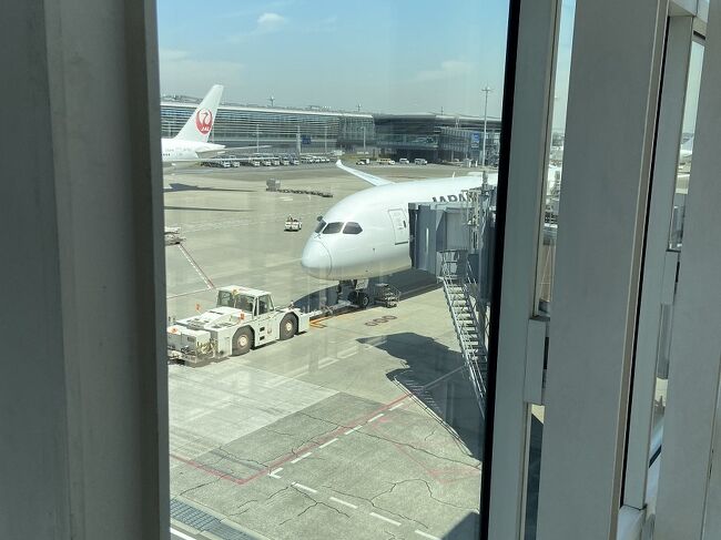 隣のゲートはNY行き。ニューヨークかあ♪いいなあ。<br />バンコク行より人が多いのは、機体が大きいんだろうなーなんて思いながらほぼ定刻に搭乗。