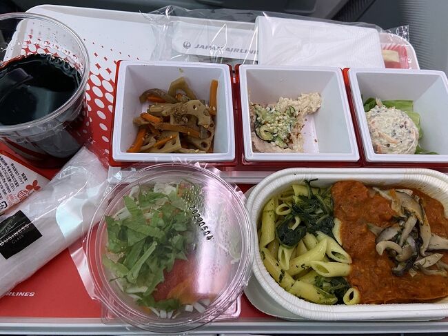 機内食<br />3月とはメニューが替わっていて、京都cenci横山耕介シェフ監修メニュー<br />洋食：鶏もも肉のキノコ入りカチャトーラソースとペンネ<br />和食の生姜かおるふんわりハンバーグも良かったかな。<br />もちろん洋食もおいしゅうございました。