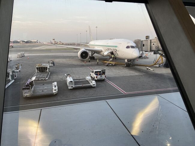 ZIPAIR 056便<br />3.1万円+席指定（後方通路側）+事前機内食