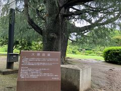 記念講堂の裏手が緑豊かな公園でした。