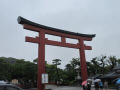 小町通りを通り抜けて、鶴岡八幡宮に到着しました。