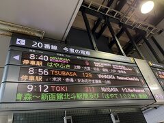 ツアー１日目です。
東京駅日本橋口に集合して、8：40発の「はやぶさ9号」で盛岡へと向かいます。
