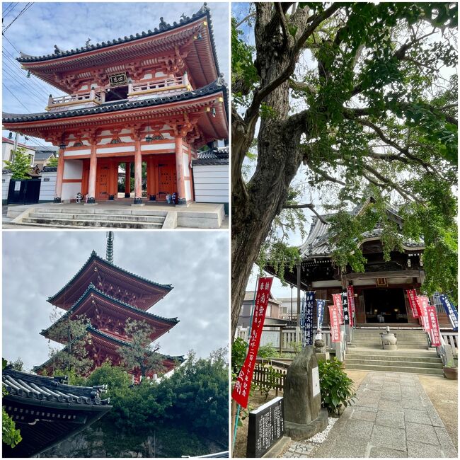 ついでに三重塔がある西光寺へお参りすることに。<br />立派な山門、本堂前のイチョウの巨木は樹齢250年以上だとか。<br />ひっそりと佇む静かなお寺でした。