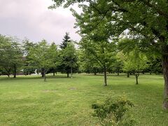 緑豊かな中島公園です。
14日から札幌祭りが始まります。