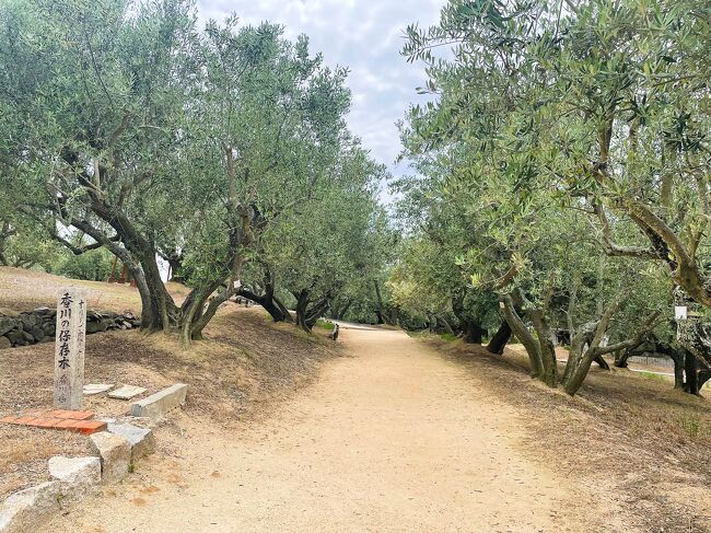 世界中からやって来た約2,000本のオリーブの木々。<br />私が大好きな地中海沿岸の国々が多かったような。<br />日本最古のオリーブの原木などもありました。