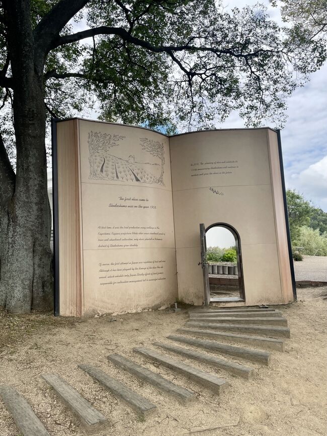 これは何かな？ただのフォトスポット？<br />「1908年に最初のオリーブの木が小豆島に来ました」ってな、<br />小豆島のオリーブの歴史が英語で記されていました。