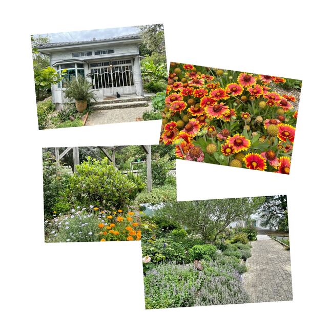 ハーブガーデンでは色とりどりのお花が。