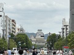 嘘のように順調に、「午後2時18分」姫路駅到着。
姫路駅降りたら、目の前にもうすでに「姫路城」が見えている！

今回は、夫のリフレッシュ旅行という名目なので、行き先は夫が行きたい所。
昔から、戦国時代が大好きで、ベタだけど、織田・豊臣・徳川のいわゆる三英傑の時代、特に家康さんの時代が大好き。

チャンスが有れば「お城巡り」をしたいというのが夢。
今年2月ちょっとした機会があり、夫は一人で「名古屋城」「清州城」を見てきたみたいなので、「城巡り」魂に火がついた？(笑)

今の大河ドラマ、夫は純粋に家康の話だから、私は主役が「推し」だからね～。(笑)
