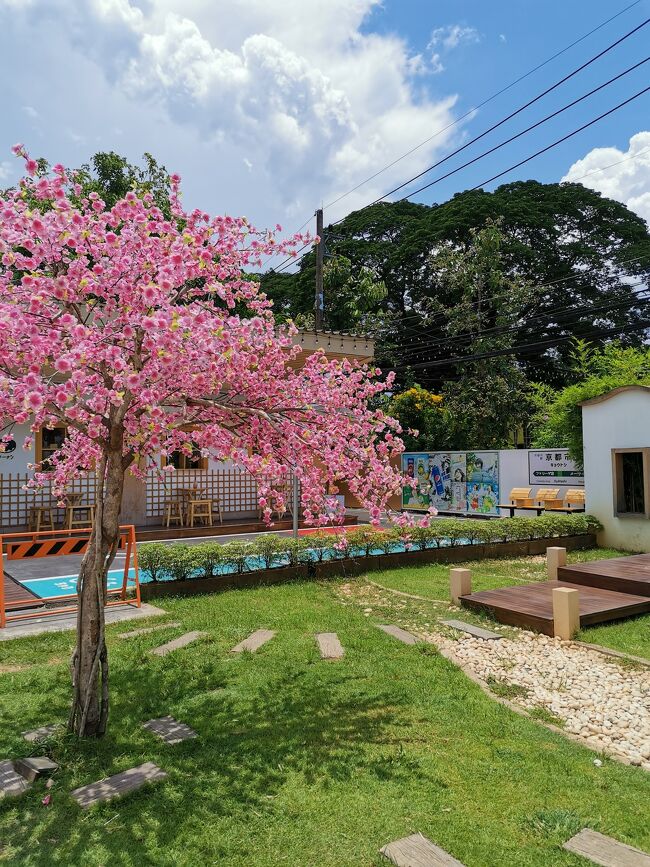 キョウトシ チェンライ<br />Kyotoshi chiangrai <br /><br />